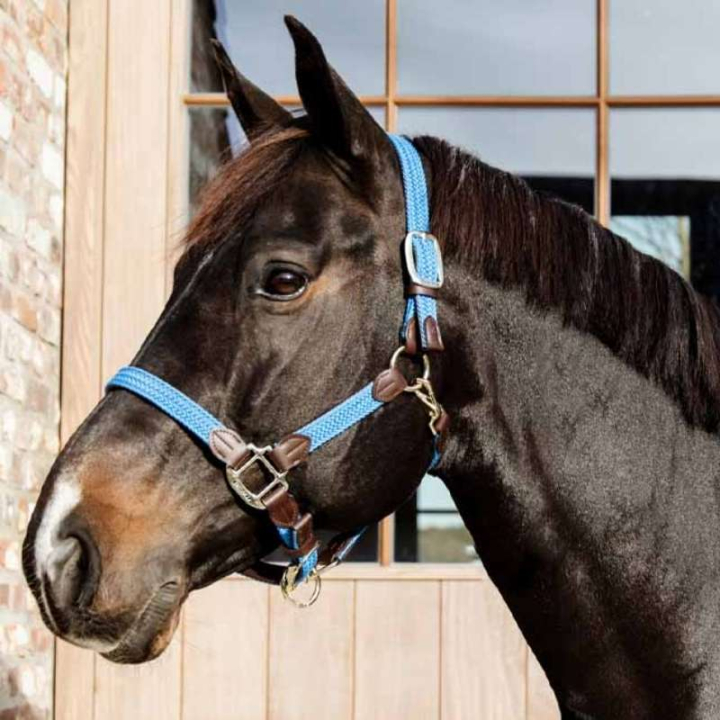Grimma Plaited Nylon Ljusblå i gruppen Hästutrustning / Grimmor / Tyg- & Nylongrimmor hos Horseonline AB (4251661COBLBL_r)