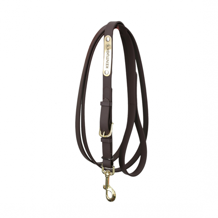 Lädergrimskaft Presentation Artificial Brun i gruppen Hästutrustning / Grimskaft & Transportgrimskaft / Lädergrimskaft hos Horseonline AB (425270503BR)