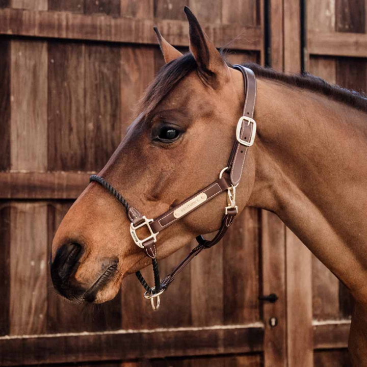 Lädergrimma Rope Artificial Brun i gruppen Stall & Hage / Stallutrustning / Bandageväska hos Horseonline AB (4254005COBBR_r)