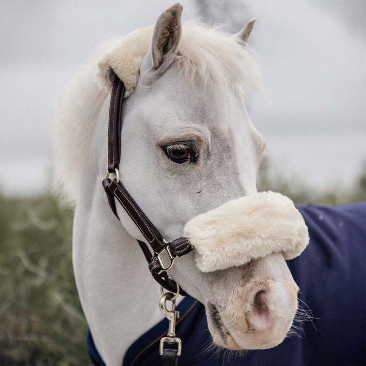 Lädergrimma Pony Artificial Sheepskin Brun i gruppen Hästutrustning / Grimmor / Lädergrimmor hos Horseonline AB (4254105PBR)
