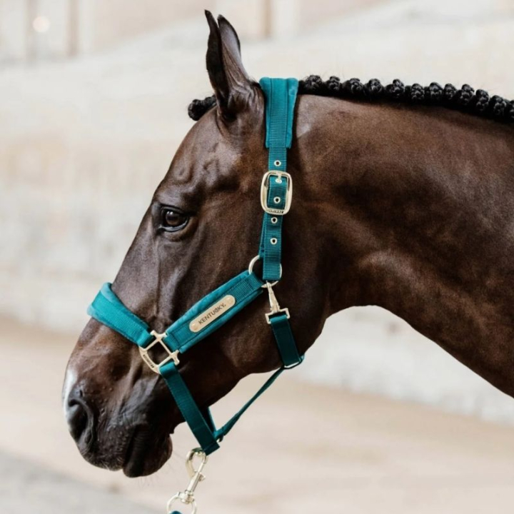 Grimma Velvet Smaragdgrön i gruppen Hästutrustning / Grimmor / Tyg- & Nylongrimmor hos Horseonline AB (4255871COBSGN_r)