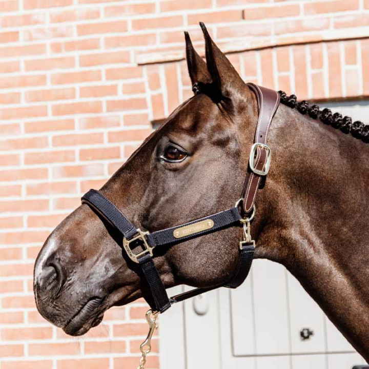 Grimma Anatomic Nylon Marinblå i gruppen Hästutrustning / Grimmor / Tyg- & Nylongrimmor hos Horseonline AB (4256003COBNA_r)