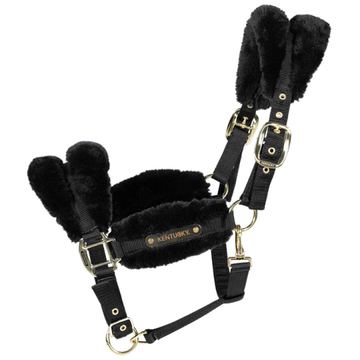 Grimma Sheepskin Soft Svart i gruppen Hästutrustning / Grimmor / Tyg- & Nylongrimmor hos Horseonline AB (4256501COBBA_r)