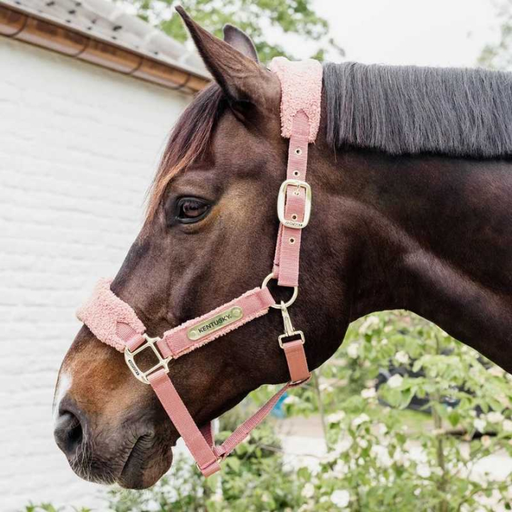 Grimma Teddy Fleece Gammelrosa i gruppen Hästutrustning / Grimmor / Tyg- & Nylongrimmor hos Horseonline AB (4257310COBOPI_r)
