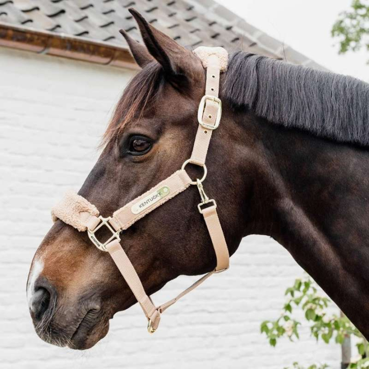 Grimma Teddy Fleece Beige i gruppen Hästutrustning / Grimmor / Tyg- & Nylongrimmor hos Horseonline AB (4257332COBBE_r)