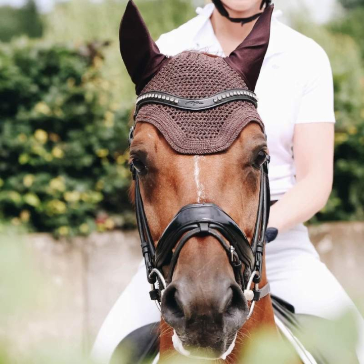 Huva Wellington Sparkling Brun i gruppen Hästutrustning / Huvor hos Horseonline AB (4261005FBR_r)