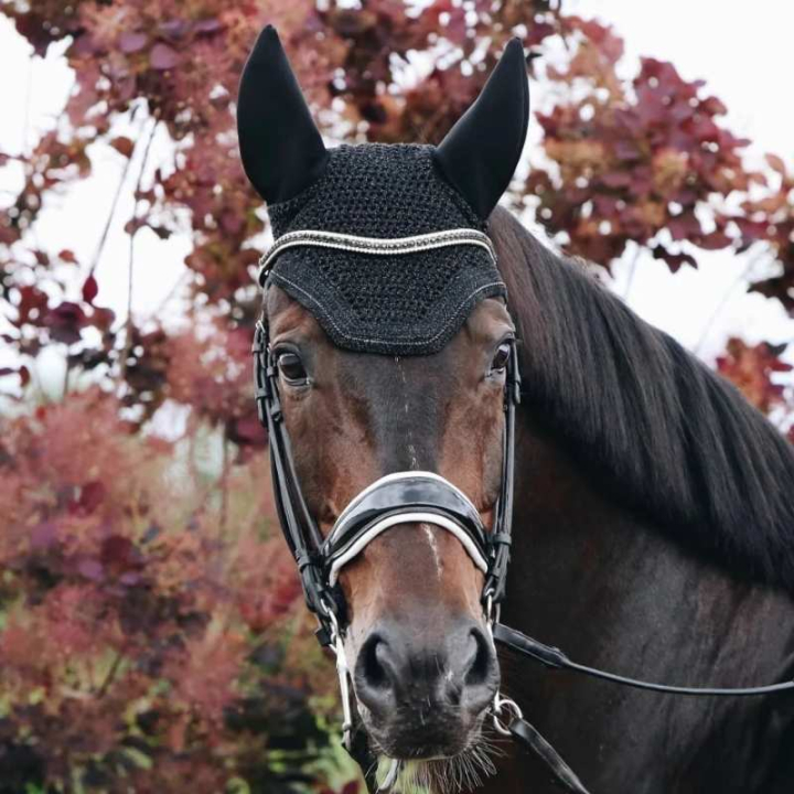 Huva Wellington Sparkling Soundless Svart i gruppen Hästutrustning / Huvor hos Horseonline AB (4261101FBA_r)