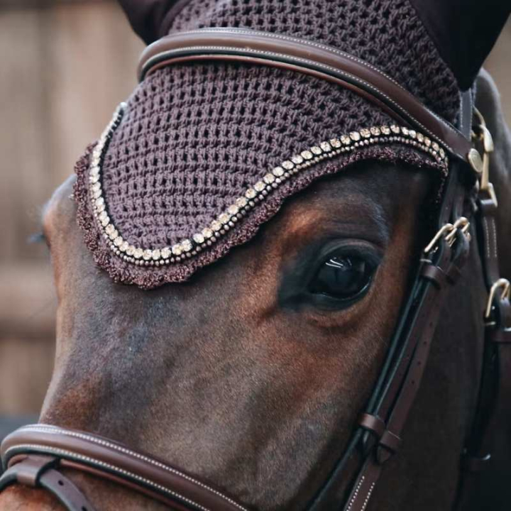 Huva Long Stone & Pearl Brun i gruppen Hästutrustning / Huvor hos Horseonline AB (4261605FBR_r)