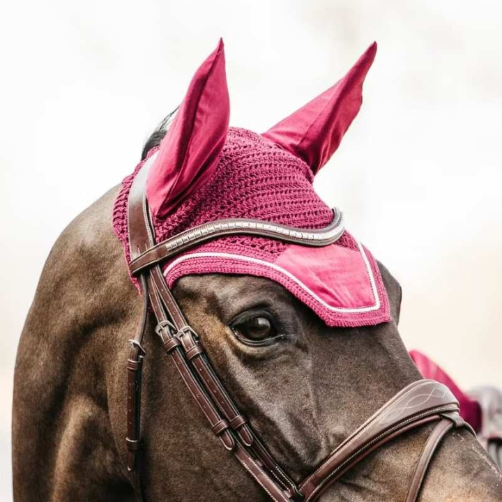 Huva Wellington Velvet Fuchsia i gruppen Hästutrustning / Huvor hos Horseonline AB (4262616FFU_r)
