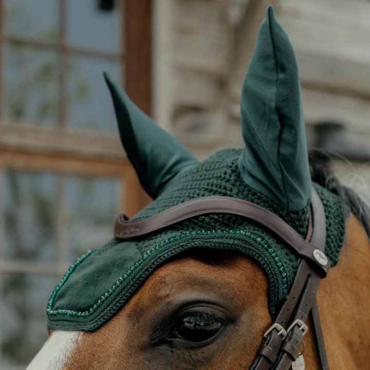 Huva Wellington Velvet Pearls Grön i gruppen Hästutrustning / Huvor hos Horseonline AB (4262903PGN)