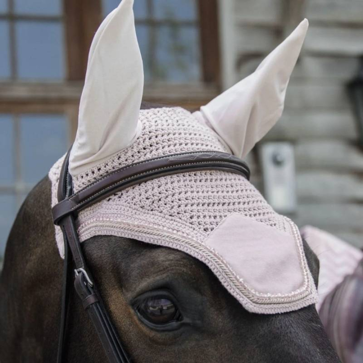 Huva Wellington Velvet Pearls Ljusrosa i gruppen Hästutrustning / Huvor hos Horseonline AB (4262903PI)