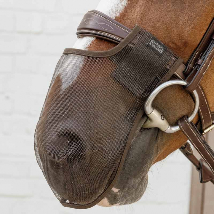 Nosnät Anti Fly Brun i gruppen Hästutrustning / Träns & Pannband / Tränstillbehör hos Horseonline AB (4266305FBR_r)