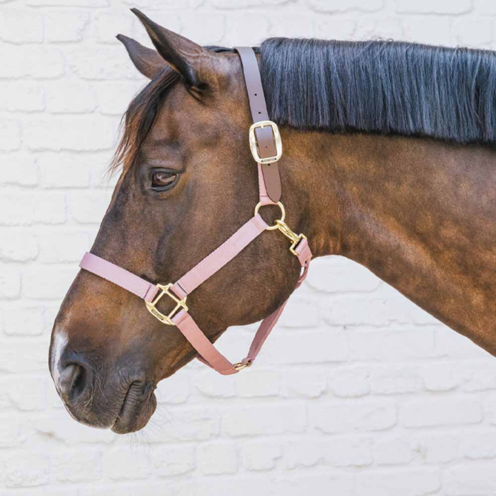 Grimma Breakaway Gammelrosa i gruppen Hästutrustning / Grimmor / Tyg- & Nylongrimmor hos Horseonline AB (4266510COBOPI_r)
