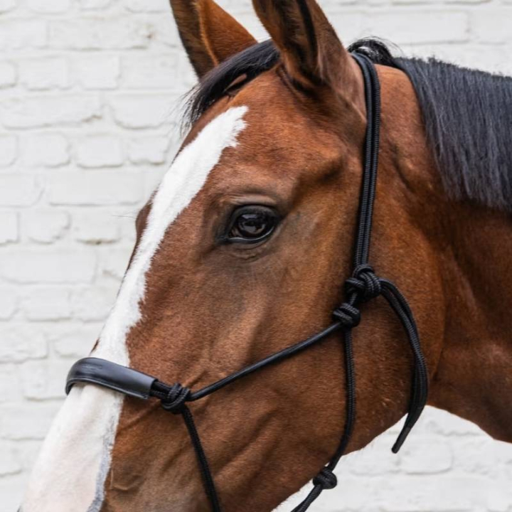 Repgrimma Grooming Deluxe Svart i gruppen Hästutrustning / Grimmor / Fölgrimmor hos Horseonline AB (4268601COBBA_r)