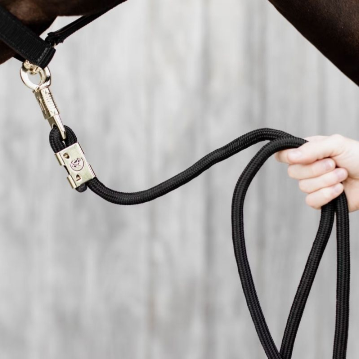 Grimskaft Panic Hook Svart i gruppen Hästutrustning / Grimskaft & Transportgrimskaft / Nylon & Bomullsgrimskaft hos Horseonline AB (4270901200BA)
