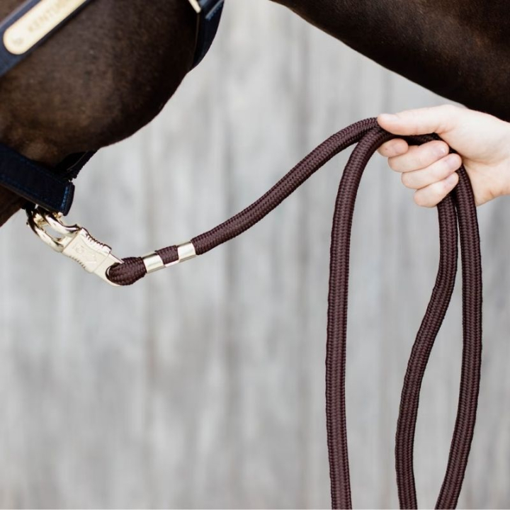 Grimskaft Panic Hook Brun i gruppen Hästutrustning / Grimskaft & Transportgrimskaft / Nylon & Bomullsgrimskaft hos Horseonline AB (4270905200BR)