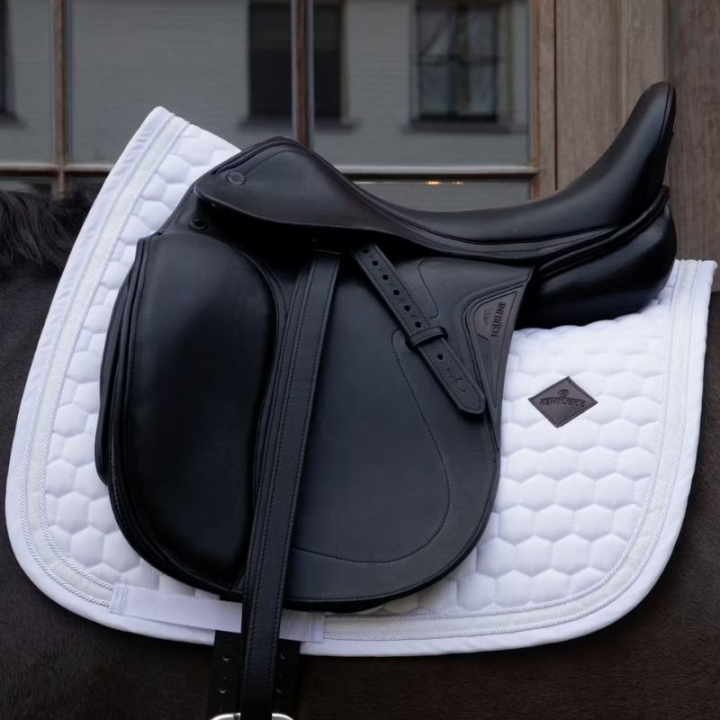 Dressyrschabrak Glitter Band Vit/Vit i gruppen Hästutrustning / Schabrak / Dressyrschabrak hos Horseonline AB (427300202DRWHWH_r)