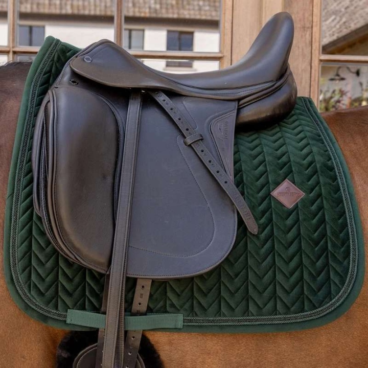 Dressyrschabrak Velvet Mini Pearls Grön i gruppen Hästutrustning / Schabrak / Dressyrschabrak hos Horseonline AB (4275074DRGN_r)