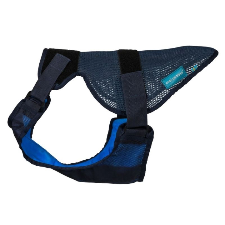 Kylande Hundsele Cool on Track Blå i gruppen Hund / Hundhalsband & Sele hos Horseonline AB (43290300BL_r)