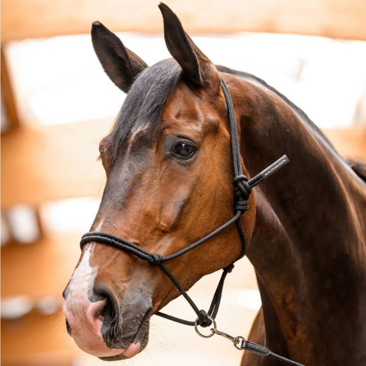 Repgrimma Movable Ring Svart i gruppen Hästutrustning / Grimmor / Repgrimmor hos Horseonline AB (5040901PBA_r)