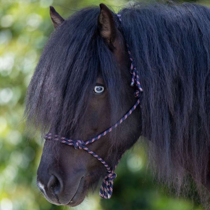 Repgrimma Knotted Marinblå/Vit/Röd i gruppen Hästutrustning / Grimmor / Repgrimmor hos Horseonline AB (50411542NWR_r)