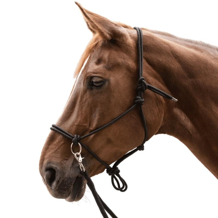 Repgrimma med Tyglar Knotted Svart i gruppen Hästutrustning / Grimmor / Repgrimmor hos Horseonline AB (5041801PBA_r)