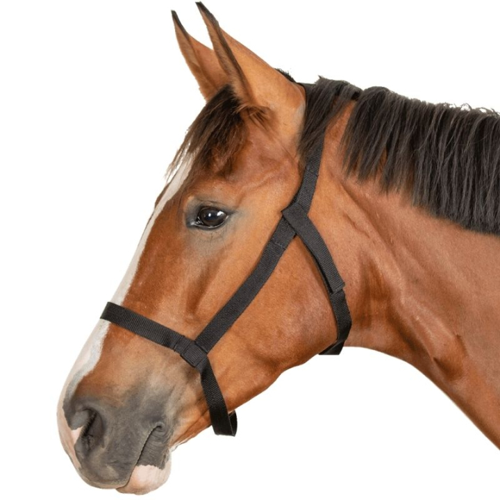 Haggrimma Grazing Svart i gruppen Hästutrustning / Grimmor / Tyg- & Nylongrimmor hos Horseonline AB (5045301PBA_r)