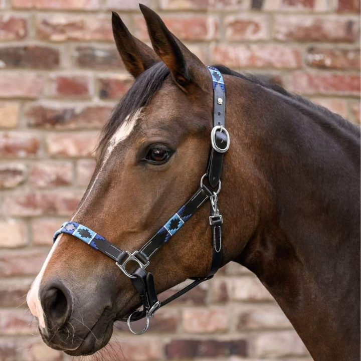 Lädergrimma Polo X-Line Svart/Blå i gruppen Hästutrustning / Grimmor / Lädergrimmor hos Horseonline AB (5050701PBABL_r)
