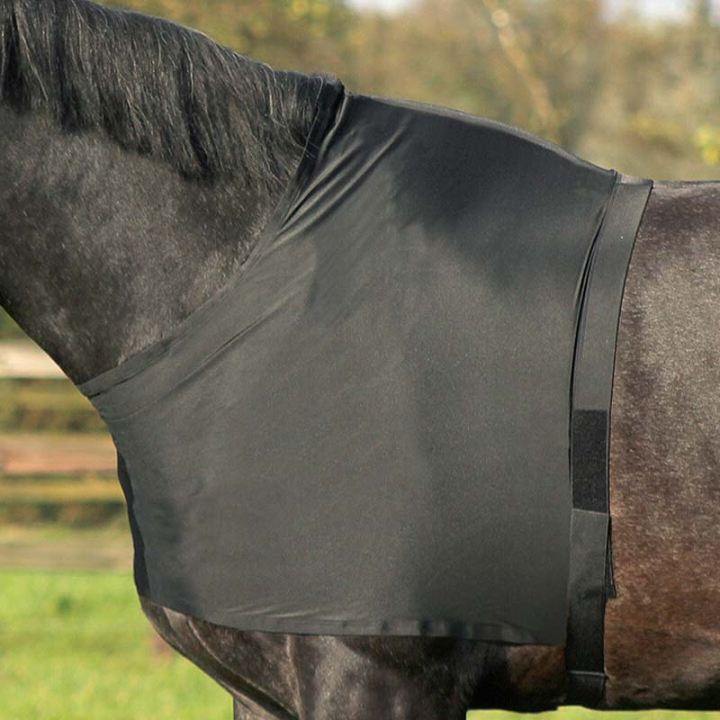 Bogskydd Elastic Svart i gruppen Hästtäcken / Tillbehör täcken / Bogskydd hos Horseonline AB (5106ZWLBA_r)