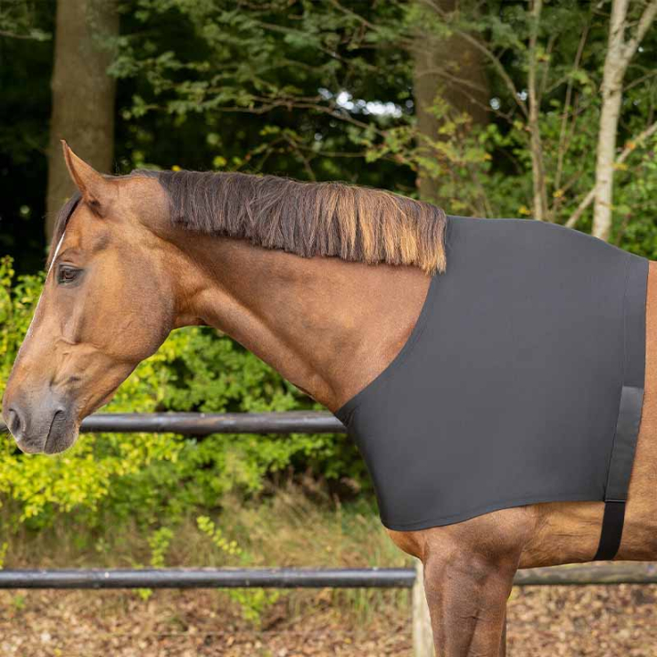 Bogskydd Elastic Svart i gruppen Hästtäcken / Tillbehör täcken / Bogskydd hos Horseonline AB (5106ZWLBA_r)