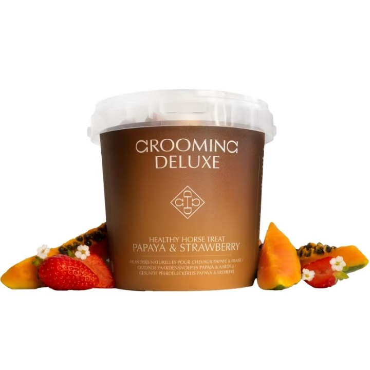Hästgodis Healthy Horse Treats Papaya & Strawberry 500g i gruppen Skötsel & Vård / Hästgodis hos Horseonline AB (52007PAP-500)