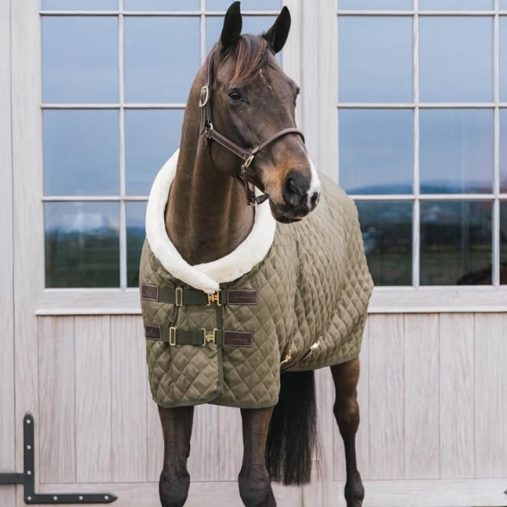 Tävlingstäcke/Stalltäcke 160g Grön i gruppen Hästtäcken / Tävlings- & Transporttäcken hos Horseonline AB (52101LGN)