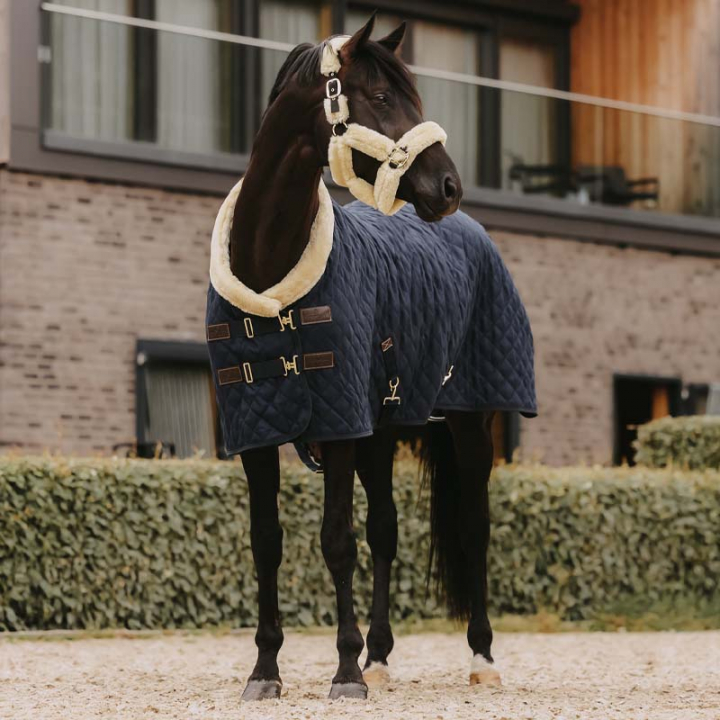 Tävlingstäcke/Stalltäcke 160g Marinblå i gruppen Hästtäcken / Tävlings- & Transporttäcken hos Horseonline AB (52101Ma_r)