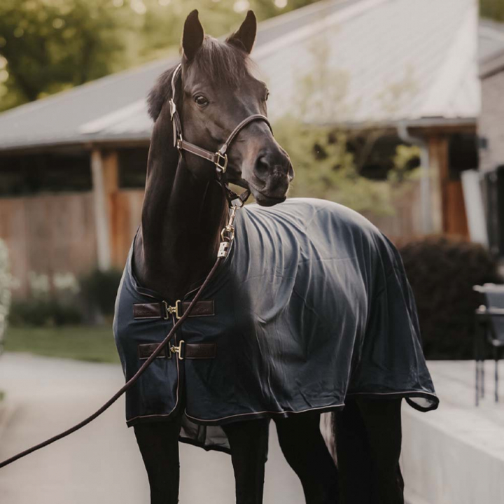 Flugtäcke Mesh Marinblå i gruppen Hästtäcken / Flugtäcken & Eksemtäcken hos Horseonline AB (52157Ma_r)