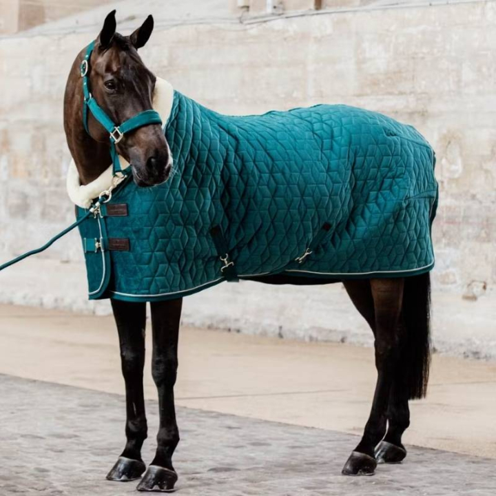 Tävlingstäcke Velvet Emerald i gruppen Hästtäcken / Tävlings- & Transporttäcken hos Horseonline AB (52171Gn_r)