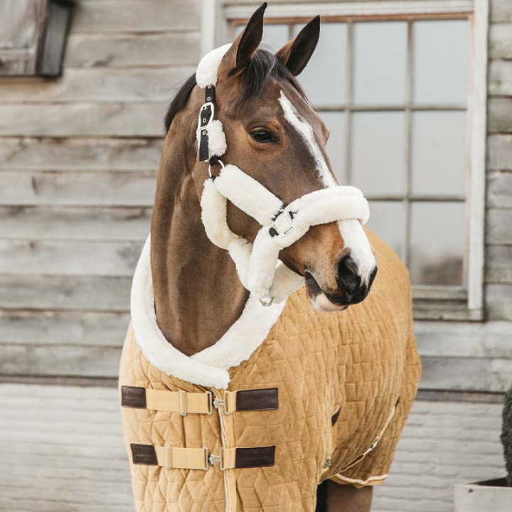 Tävlingstäcke Velvet Gul i gruppen Hästtäcken / Tävlings- & Transporttäcken hos Horseonline AB (52171Gu_r)