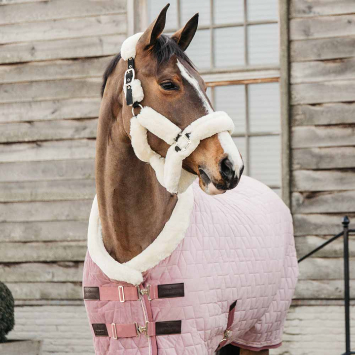 Tävlingstäcke Velvet Rosa i gruppen Hästtäcken / Tävlings- & Transporttäcken hos Horseonline AB (52171Rs_r)