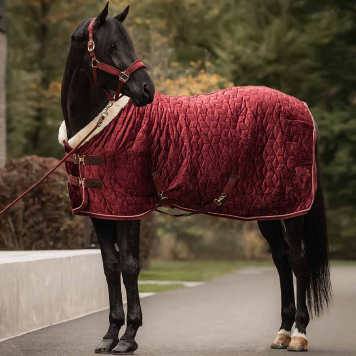 Tävlingstäcke Velvet Bordeaux i gruppen Hästtäcken / Tävlings- & Transporttäcken hos Horseonline AB (52171Vn_r)