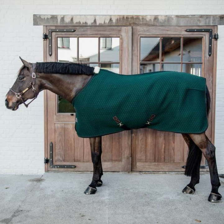 Coolertäcke 4D Spacer Grön i gruppen Hästtäcken / Coolertäcken hos Horseonline AB (52183PGN)