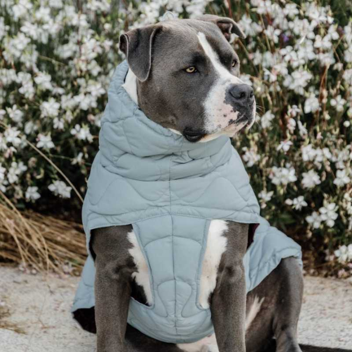 Hundtäcke Winter Pina 160g Blå i gruppen Hund / Hundtäcken & Hundtröjor hos Horseonline AB (5218809LBL_r)