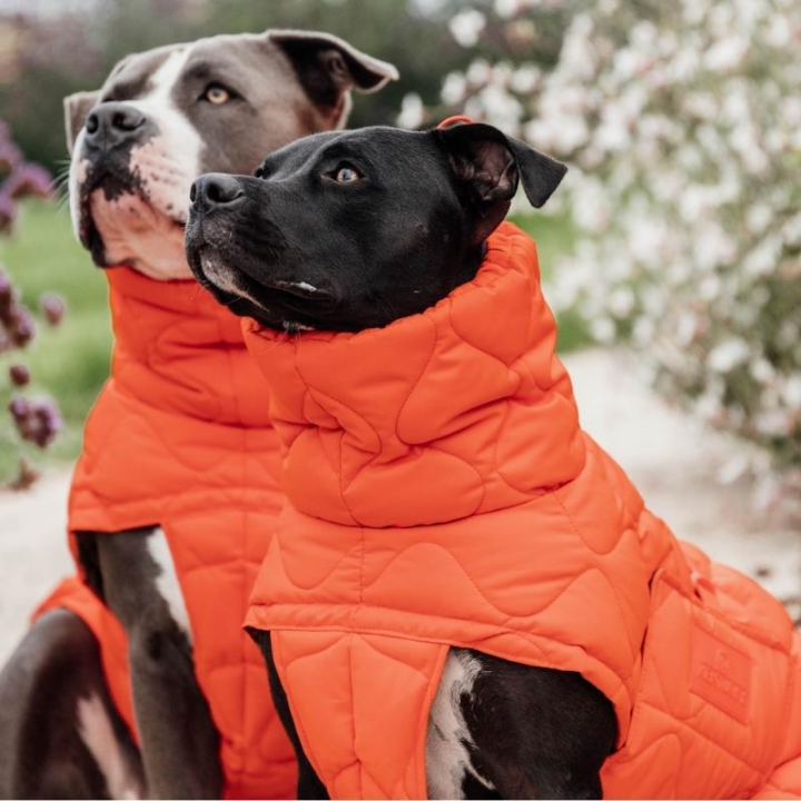 Hundtäcke Winter Pina 160g Orange i gruppen Hund / Hundtäcken & Hundtröjor hos Horseonline AB (5218845LOR_r)