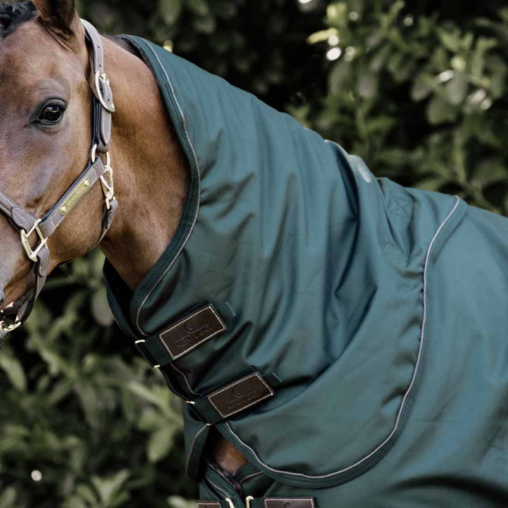 Hals All Weather Waterproof Pro 150g Mörkgrön i gruppen Hästtäcken / Halsar hos Horseonline AB (52201DGN_r)