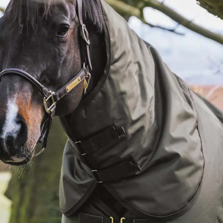 Hals All Weather Waterproof Pro 150g Kakigrön i gruppen Hästtäcken / Halsar hos Horseonline AB (52201KGN_r)