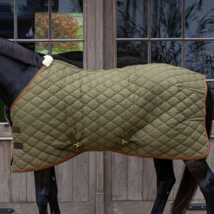 Stalltäcke Wave 600D 160g Grön i gruppen Hästtäcken / Stalltäcken hos Horseonline AB (5223873125GN_r)