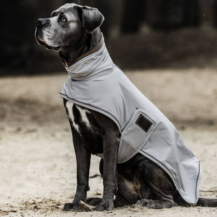 Regntäcke Hund 0g Grå i gruppen Hund / Hundtäcken & Hundtröjor hos Horseonline AB (5224509LBL_r)