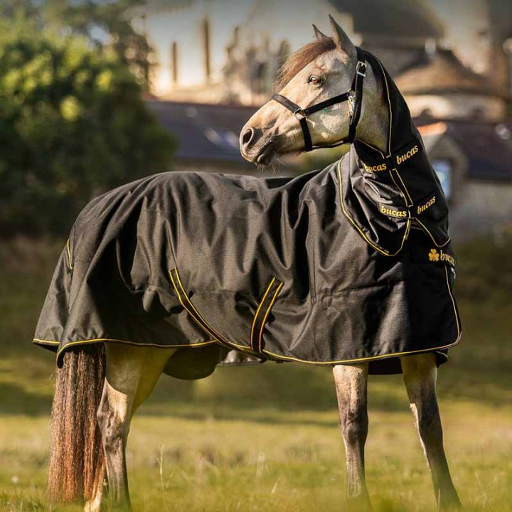 Regntäcke med Hals Irish Turnout 50g Svart/Guld i gruppen Hästtäcken / Utetäcken / Regntäcken hos Horseonline AB (5361522BAGO_r)