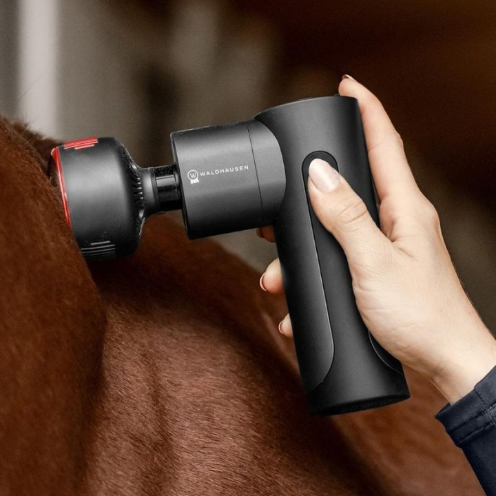 Massageapparat Pro Hot & Cold Svart i gruppen Skötsel & Vård / Massage & Blodcirkulation hos Horseonline AB (5700600BA)