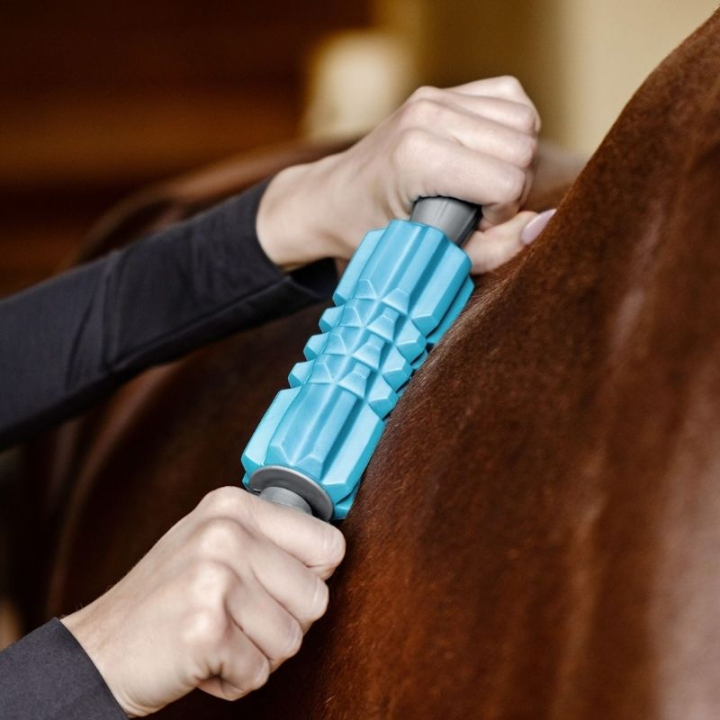 Massagerulle Fascia Fit Ljusblå i gruppen Skötsel & Vård / Massage & Blodcirkulation hos Horseonline AB (5700700LBL)