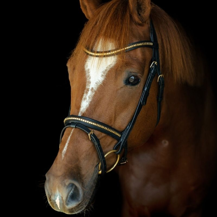 Träns HS Clincher Aachen Svart i gruppen Hästutrustning / Träns & Pannband / Träns hos Horseonline AB (603350BA_r)