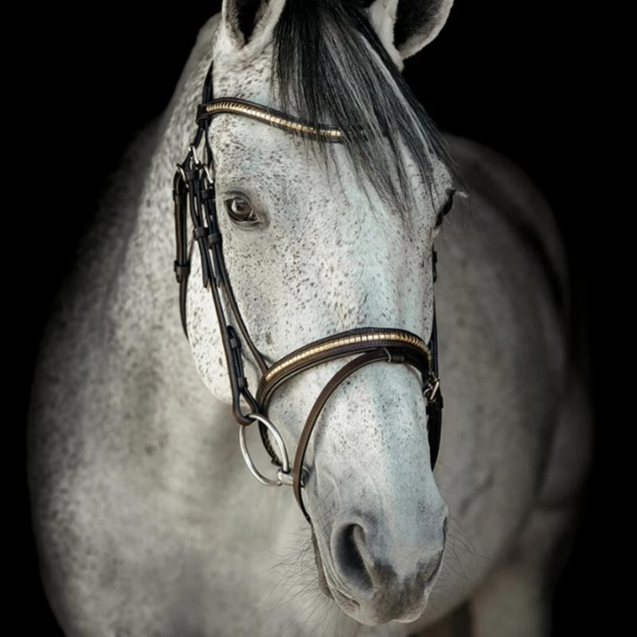Träns HS Clincher Aachen Brun i gruppen Hästutrustning / Träns & Pannband / Träns hos Horseonline AB (603353BR_r)